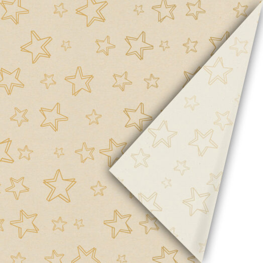 Cadeaupapier Super Stars paperwise/goud | CollectivWarehouse