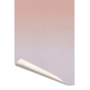 Gradient Behang | CollectivWarehouse