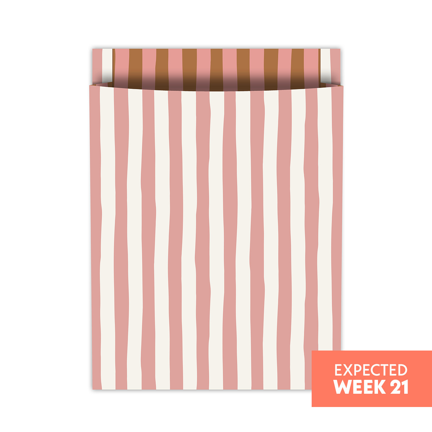 Tijdschriftenzakken Lazy Stripes | CollectivWarehouse