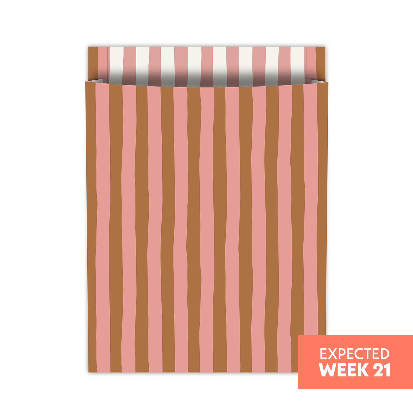 Tijdschriftenzakken Lazy Stripes | CollectivWarehouse